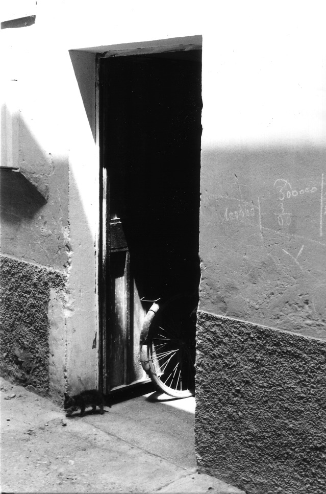 Doorway & Kitten