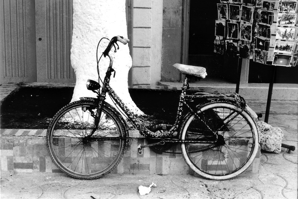 Mosaic On Bicycle